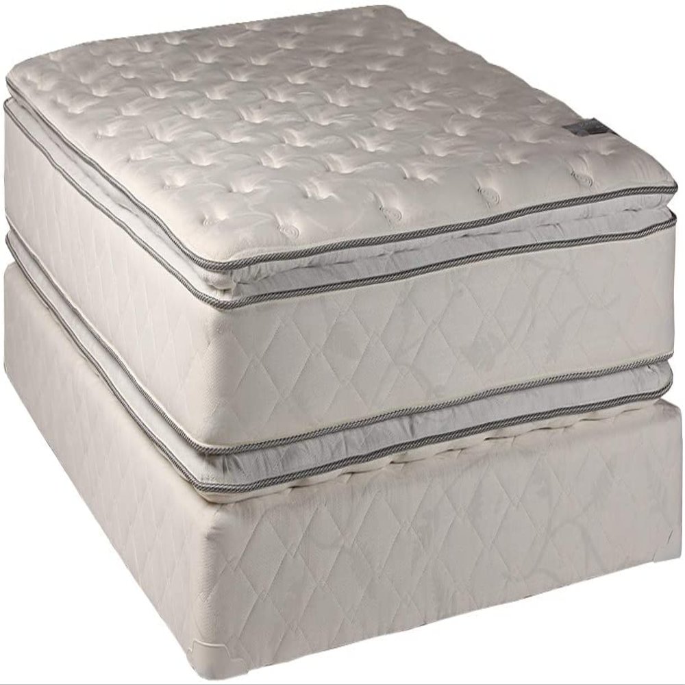 DS Solutions USA Princess Gentle Plush Two-Sided Twin Size Eurotop Mattress Set with Bed Frame Included - Spine Support, Sleep System with Enhanced Cushion Support, Longlasting