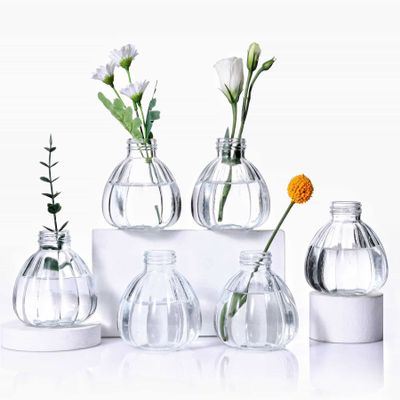 Aebor Glass Bud Vases Set of 6, Glass Flower Vases Small Bottles for Floral Arrangements, Rustic Decorative Floral Vases for Centerpiece Home Living Room Office Decoration or Wedding Event (Clear C)