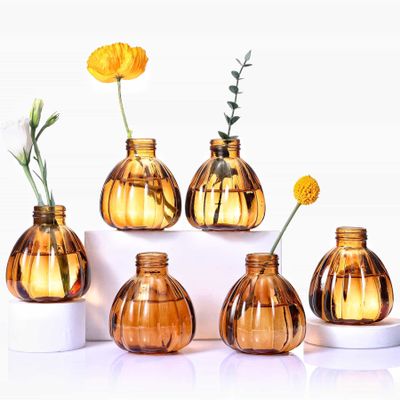Aebor Glass Bud Vases Set of 6, Glass Flower Vases Small Bottles for Floral Arrangements, Rustic Decorative Floral Vases for Centerpiece Home Living Room Office Decoration or Wedding Event (Brown C)