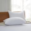 Acanva Bed Pillows for Sleeping 2 Pack King Size, Down Like Filling Luxury Soft Supportive Plush for Side Back and Stomach Sleepers,20x36 view 1