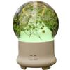 Habiba Humidifier Eternal Flower Essential Oil DiffuserUltrasonic Silent 100ml Humidifier Timed DesignTransparent Glass7-Color Night Light Quiet view 1
