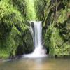 Biggies-Window Well Scene-Waterfall Two 100" X 60" view 1
