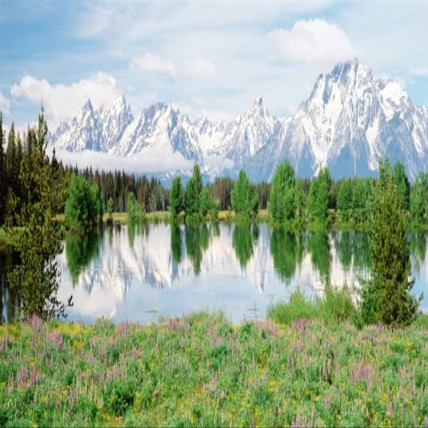 Biggies-Window Well Scene-Mountain Flower 90" X 60"