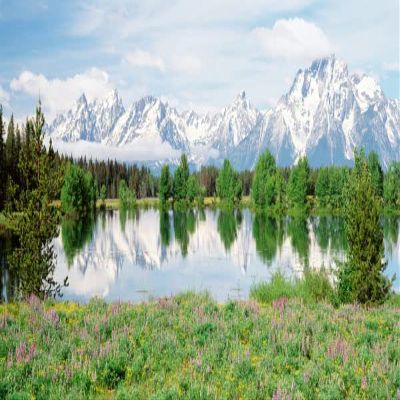 BIGGIES-Window Well Scene-Mountain Flower 70" X 60"