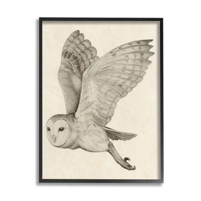 Stupell Industries Flying Barn Owl Wings Detailed Monochrome Drawing, Design by Grace Popp