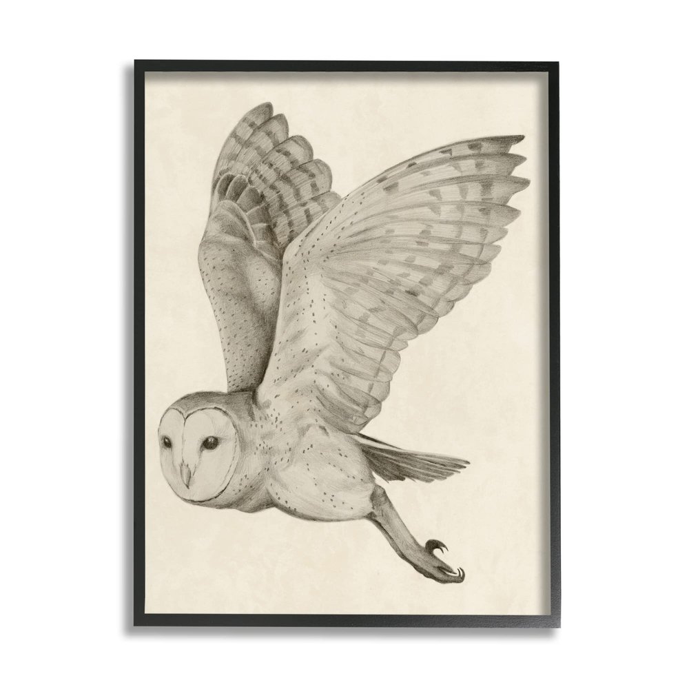 Stupell Industries Flying Barn Owl Wings Detailed Monochrome Drawing, Design by Grace Popp