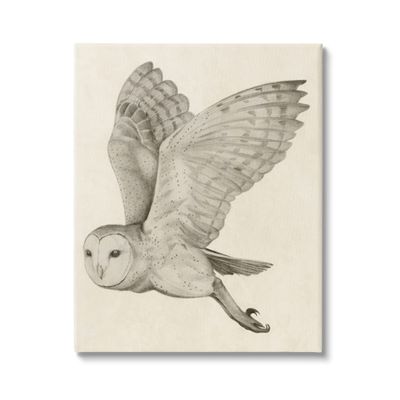 Stupell Industries Flying Barn Owl Wings Detailed Monochrome Drawing, Design by Grace Popp