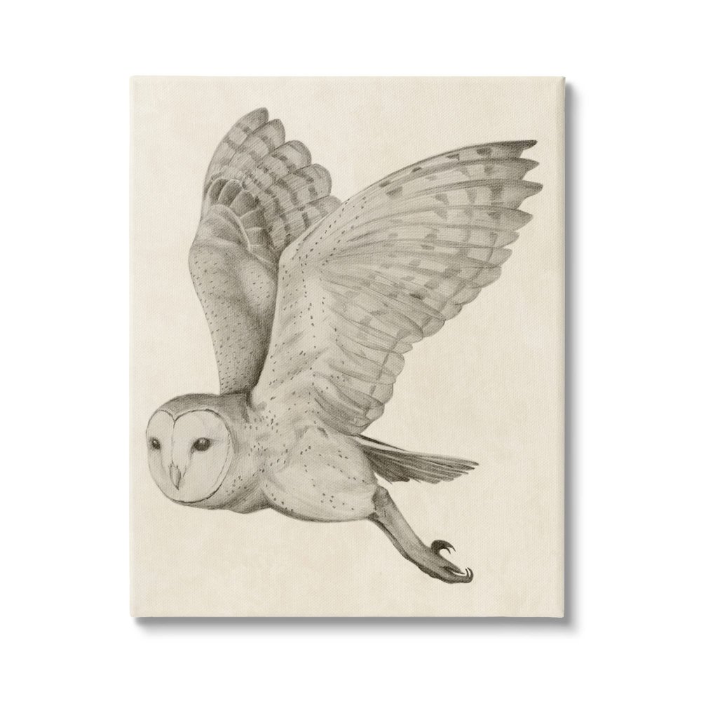 Stupell Industries Flying Barn Owl Wings Detailed Monochrome Drawing, Design by Grace Popp