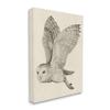 Stupell Industries Flying Barn Owl Wings Detailed Monochrome Drawing, Design by Grace Popp view 2