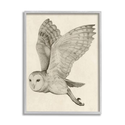 Stupell Industries Flying Barn Owl Wings Detailed Monochrome Drawing, Design by Grace Popp