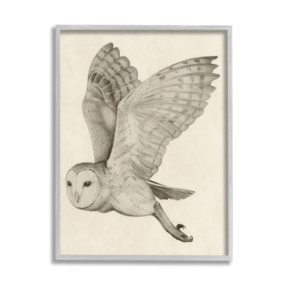 Stupell Industries Flying Barn Owl Wings Detailed Monochrome Drawing, Design by Grace Popp