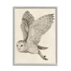 Stupell Industries Flying Barn Owl Wings Detailed Monochrome Drawing, Design by Grace Popp view 1