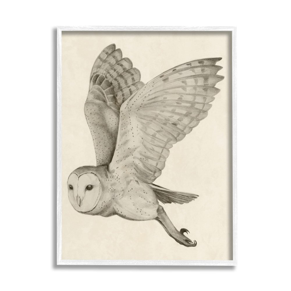Stupell Industries Flying Barn Owl Wings Detailed Monochrome Drawing, Design by Grace Popp