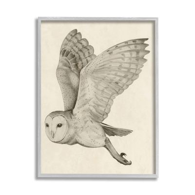 Stupell Industries Flying Barn Owl Wings Detailed Monochrome Drawing, Design by Grace Popp