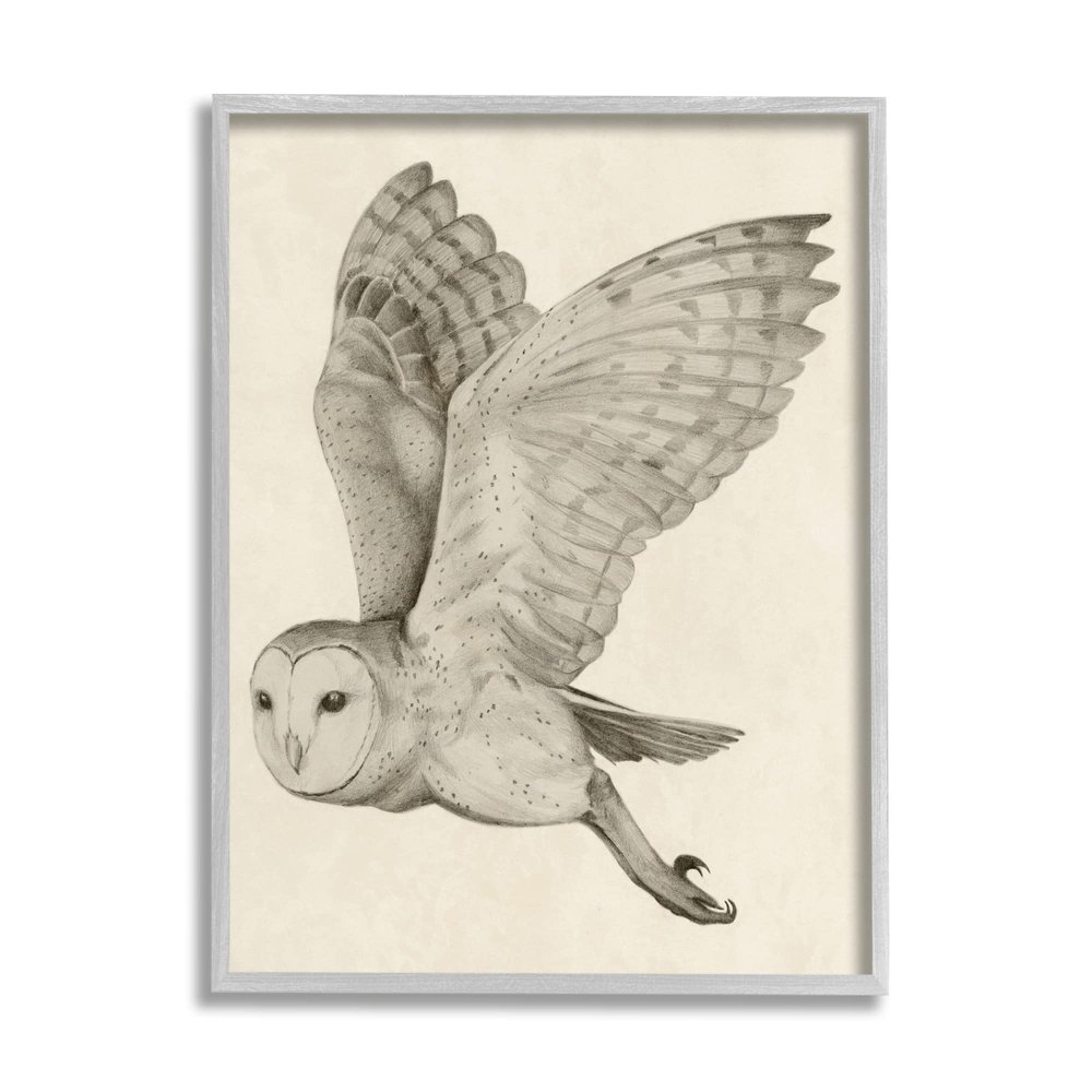 Stupell Industries Flying Barn Owl Wings Detailed Monochrome Drawing, Design by Grace Popp