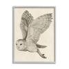 Stupell Industries Flying Barn Owl Wings Detailed Monochrome Drawing, Design by Grace Popp view 1
