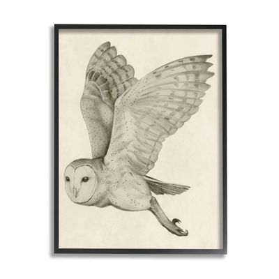 Stupell Industries Flying Barn Owl Wings Detailed Monochrome Drawing, Design by Grace Popp