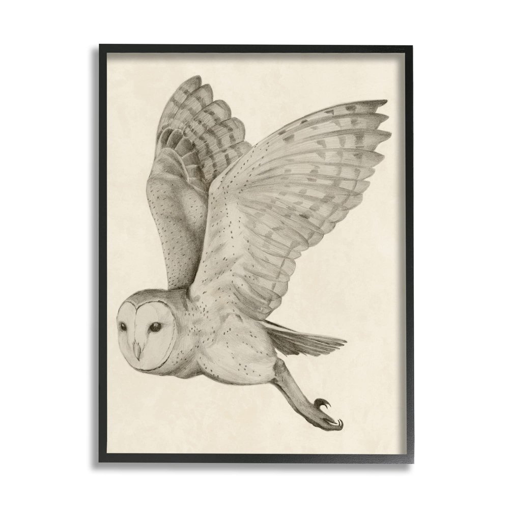 Stupell Industries Flying Barn Owl Wings Detailed Monochrome Drawing, Design by Grace Popp