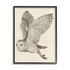 Stupell Industries Flying Barn Owl Wings Detailed Monochrome Drawing, Design by Grace Popp view 1