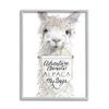 Stupell Industries Adventure Awaits Alpaca Phrase Sign Motivational Animal, Design by Kamdon Kreations view 1