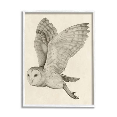Stupell Industries Flying Barn Owl Wings Detailed Monochrome Drawing, Design by Grace Popp