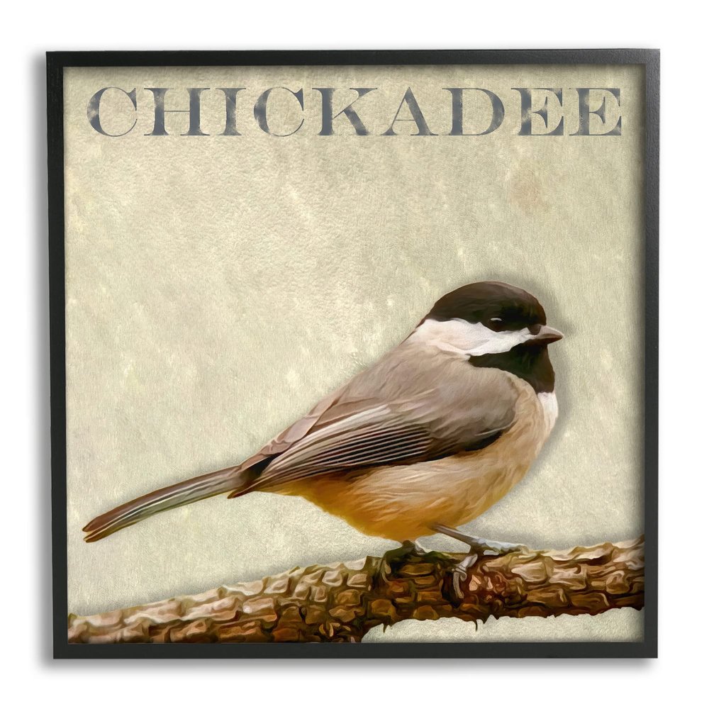 Stupell Industries Chickadee Bird Tree Branch Text Illustration, Design by Alpenglow Workshop