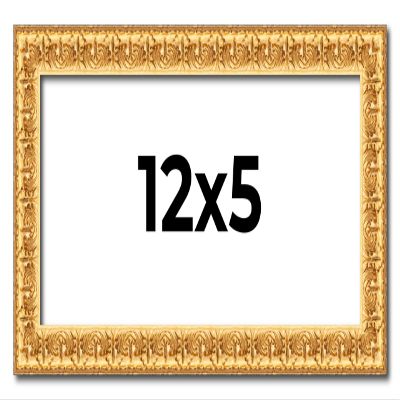 12x5 IN Frame Gold Real Wood Picture Frame Width 1 Inches | Interior Frame Depth 0.5 Inches | Edwina Mid-Century Photo Frame Complete with UV Acrylic, Foam Board Backing & Hanging Hardware