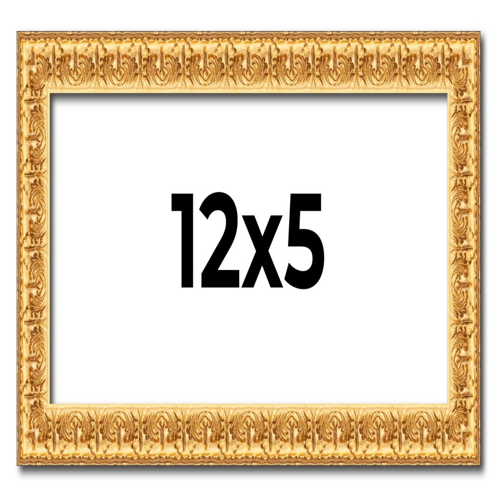 12x5 IN Frame Gold Real Wood Picture Frame Width 1 Inches | Interior Frame Depth 0.5 Inches | Edwina Mid-Century Photo Frame Complete with UV Acrylic, Foam Board Backing & Hanging Hardware