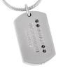 SHEIL Pet Memorial Jewelry 316L Stainless Steel Animal Paw Print Dog Tag Cremation Urn Ashes Holder Keepsake Pendant Jewellery view 2