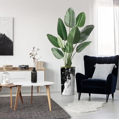 Artificial Tree in Contemporary Granite Effect Planter, Fake Bird of Paradise Silk Trees for Indoor and Outdoor Home Decoration - 67" Overall Tall (Plant Pot Plus Tree)