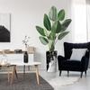 Artificial Tree in Contemporary Granite Effect Planter, Fake Bird of Paradise Silk Trees for Indoor and Outdoor Home Decoration - 67" Overall Tall (Plant Pot Plus Tree) view 1