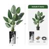 Artificial Tree in Contemporary Granite Effect Planter, Fake Bird of Paradise Silk Trees for Indoor and Outdoor Home Decoration - 67" Overall Tall (Plant Pot Plus Tree) view 3
