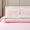 2 Pack Zippered Satin Pillowcaes Luxury and Silky Soft Travel Zip Pillow Cases (Queen, Pink) view 2
