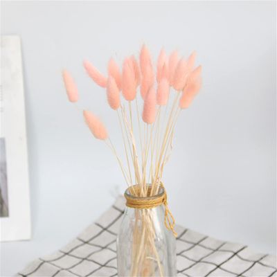 20Pcs Dried Flowers Black 001 Bunny Tail Grass Natural Fleurs Sechees Dry Flower Wedding Home Decor for Living Room Ltpink 20pcs no vase