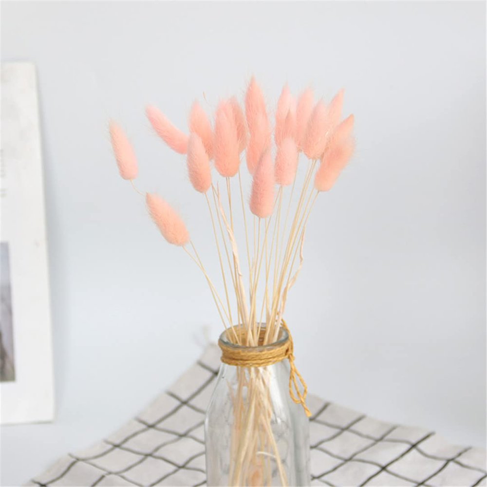 20Pcs Dried Flowers Black 001 Bunny Tail Grass Natural Fleurs Sechees Dry Flower Wedding Home Decor for Living Room Ltpink 20pcs no vase