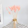 20Pcs Dried Flowers Black 001 Bunny Tail Grass Natural Fleurs Sechees Dry Flower Wedding Home Decor for Living Room Ltpink 20pcs no vase view 1