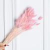 20Pcs Dried Flowers Black 001 Bunny Tail Grass Natural Fleurs Sechees Dry Flower Wedding Home Decor for Living Room Ltpink 20pcs no vase view 4