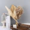 1Set Reed Pampas Wheat Ears Rabbit Tail Grass Natural Dried Flowers Bouquet Decoration for Wedding Party Bohemian Room Home A 35-40cm No Vase view 3