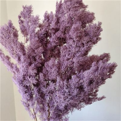 50G/Lot,Natural Preserved Pine Needles Branch,Eternelle Flower for Wedding Party Christmas Decoration,Home Arrange Flower Purple