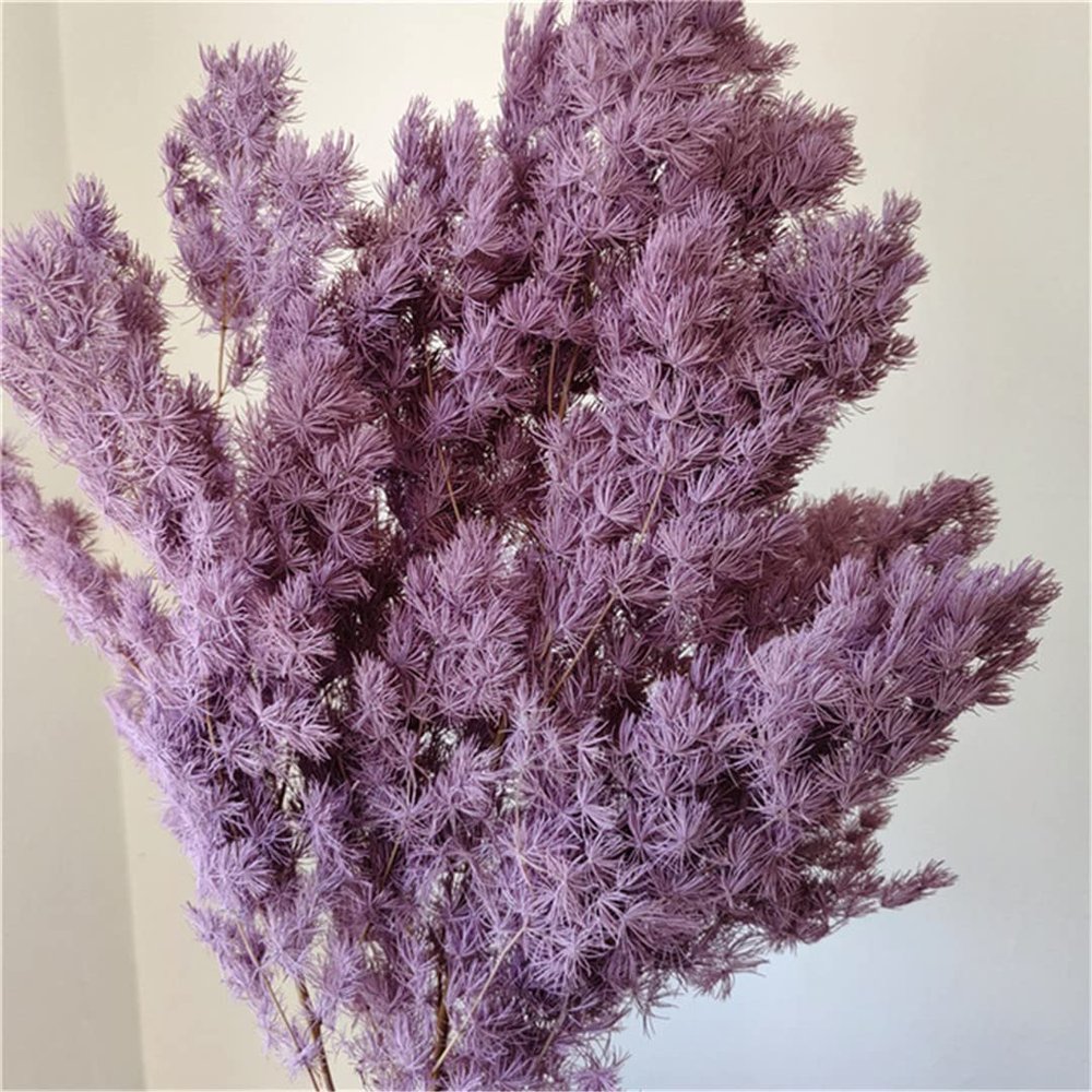 50G/Lot,Natural Preserved Pine Needles Branch,Eternelle Flower for Wedding Party Christmas Decoration,Home Arrange Flower Purple