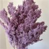 50G/Lot,Natural Preserved Pine Needles Branch,Eternelle Flower for Wedding Party Christmas Decoration,Home Arrange Flower Purple view 1