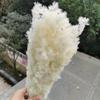 50G/Lot,Natural Preserved Pine Needles Branch,Eternelle Flower for Wedding Party Christmas Decoration,Home Arrange Flower Purple view 3