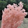 50G/Lot,Natural Preserved Pine Needles Branch,Eternelle Flower for Wedding Party Christmas Decoration,Home Arrange Flower Purple view 4