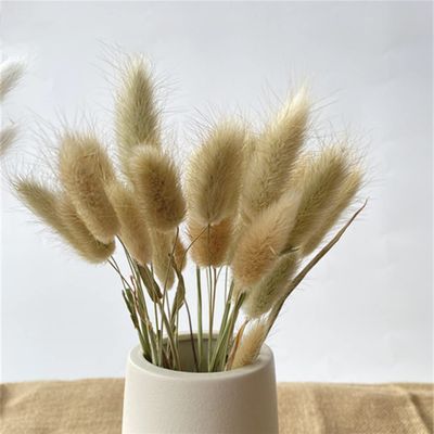 15Pcs Dried Small Pampas Grass Flowers Artificial Plants for Decoration Real Plants Home Decor Wedding Decoration Primary Rabbit Tail 15Pcs