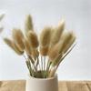 15Pcs Dried Small Pampas Grass Flowers Artificial Plants for Decoration Real Plants Home Decor Wedding Decoration Primary Rabbit Tail 15Pcs view 1