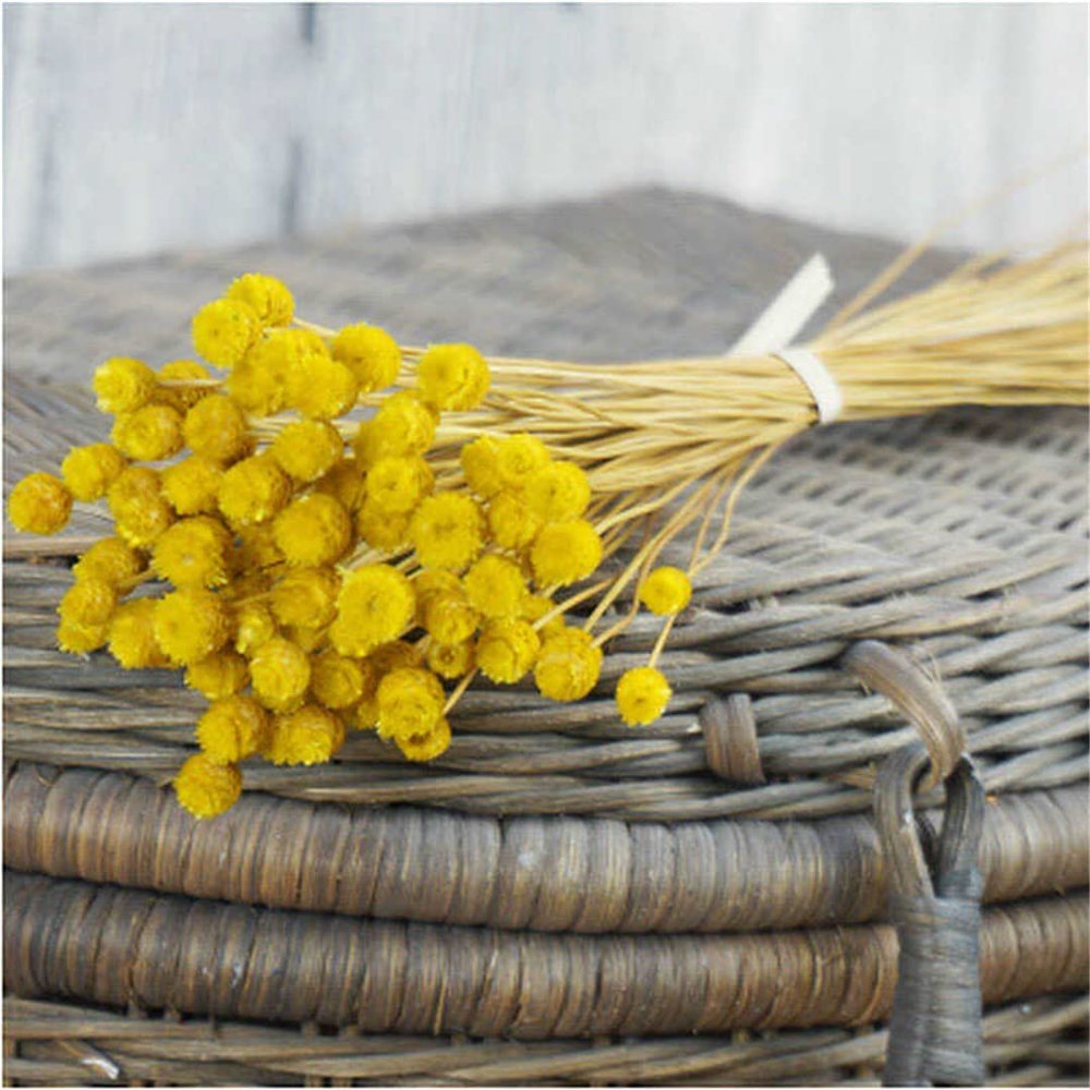 50Pcs/Lot Natural Art Dried Fake Flower Arrangement Party DIY Artificial Flower for Home Garden Decoration Valentine's Day t Yellow