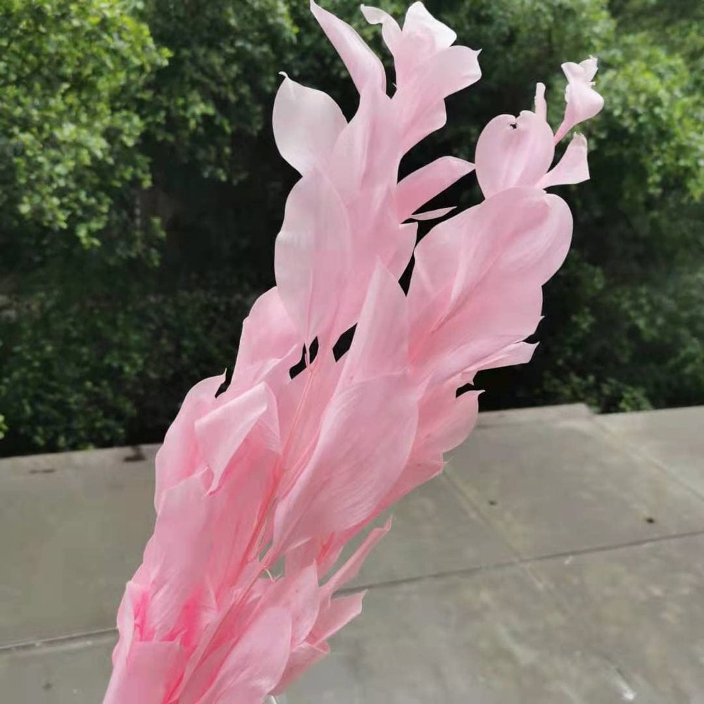 5Pcs/40Cm,Natural Preserved Orange Leaf Bouquet,Display Eternell Dracaena Flowers Branch for Wedding Party Home Decoration pink2