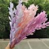 5Pcs/40Cm,Natural Preserved Orange Leaf Bouquet,Display Eternell Dracaena Flowers Branch for Wedding Party Home Decoration pink2 view 3