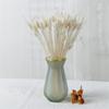 15Pcs Dried Small Pampas Grass Flowers Artificial Plants for Decoration Real Plants Home Decor Wedding Decoration 15 pcs no vase 15Pcs view 1