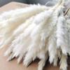 15Pcs Dried Small Pampas Grass Flowers Artificial Plants for Decoration Real Plants Home Decor Wedding Decoration 15 pcs no vase 15Pcs view 4